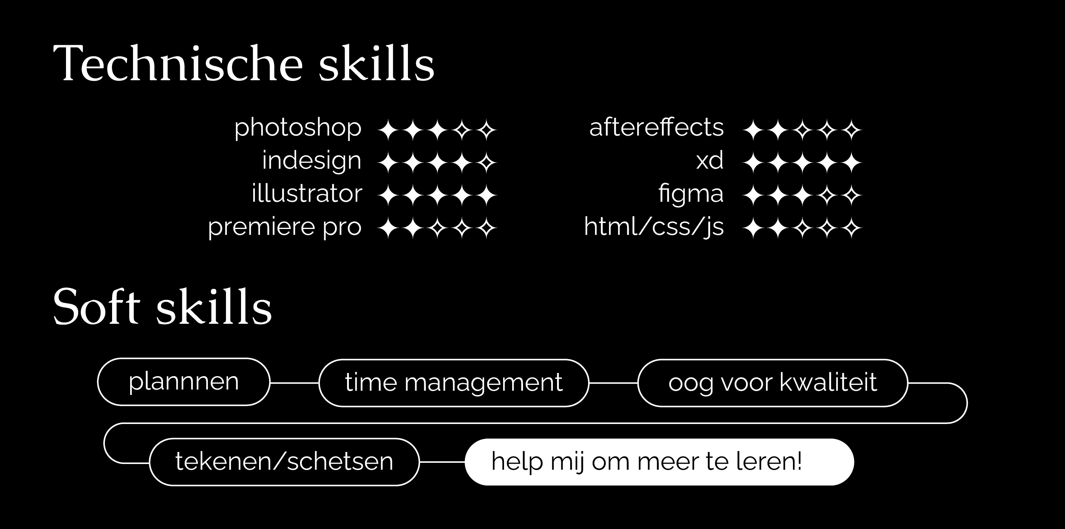 Infographic van Marc's vaardigheden